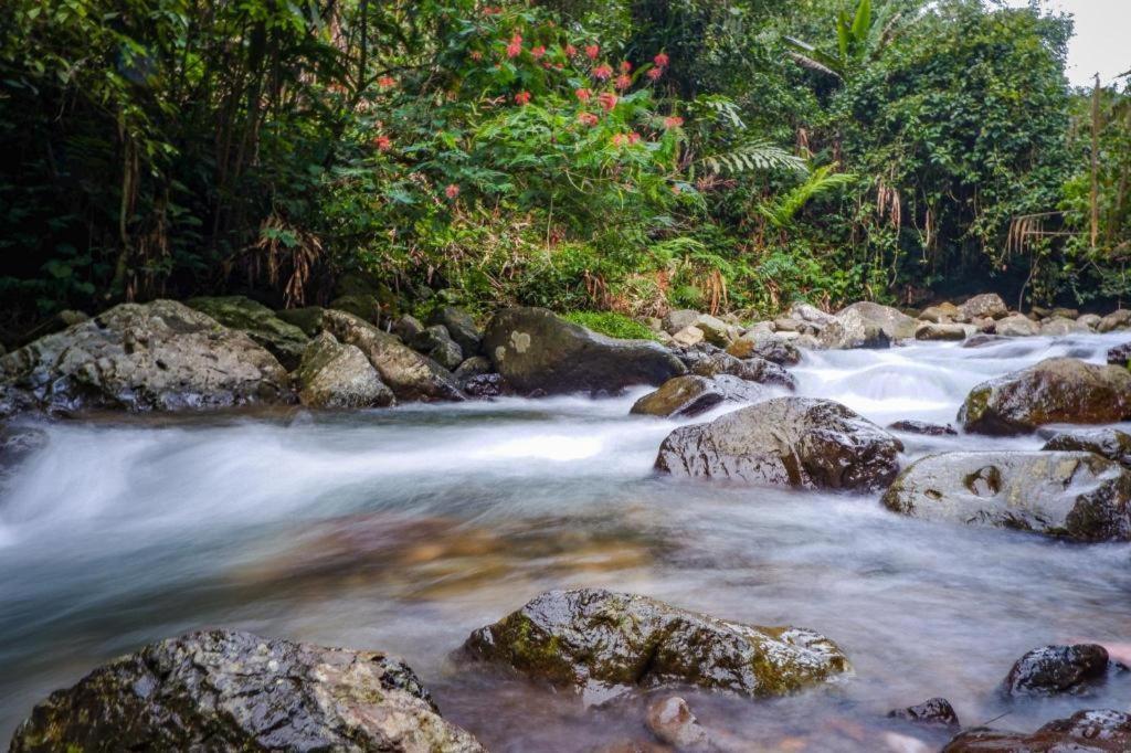 Hotel Oyo 93146 Lamin Indah Puncak Exteriér fotografie